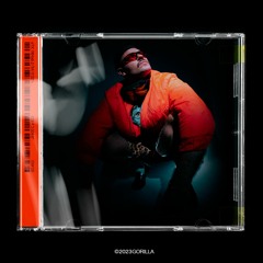 Derek V Bulcke - Gorilla Ep