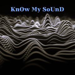KNoW mY sOuNd