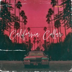 Justron - California Collar By B.N.M