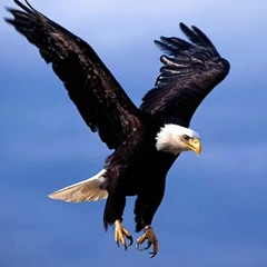 Baang - E-Dara   Tulu - E-Islam   THE RISE OF ISLAM