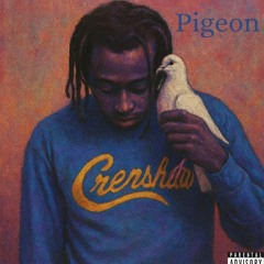 Almighty cns -pigeon