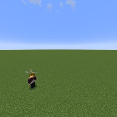 elytra flight