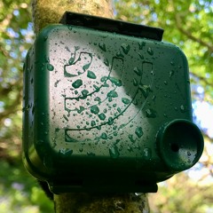 test_case_recording.WAV