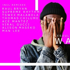 LESOUL WAAFRIKA & LEE WASTED (THOMAS CHILUME REMIX )