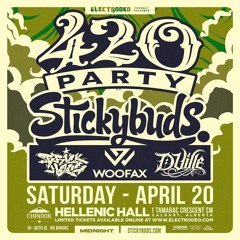 ELECTRODEO 420 Party - Set Brick Haus