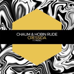 PREMIERE: Chaum & Hobin Rude - Cressida [Juicebox Music]