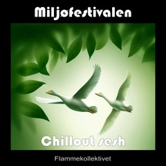 Miljøfestivalen - Chillout sesh