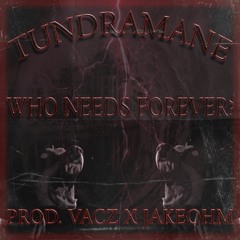 TUNDRAMANE - WHO NEEDS FOREVER (PROD. VACZ X JAKEOHM)