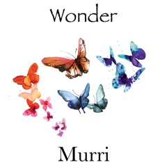 Wonder