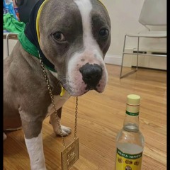 wray nd nephew