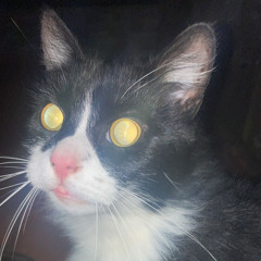 dont be a stranger (supershitdemoasper)