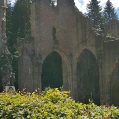 I`m A Loser (My Folk - Blues Cover - Version)