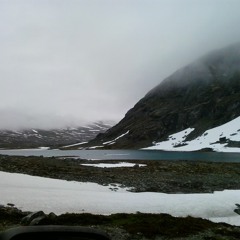 Karlavagnen