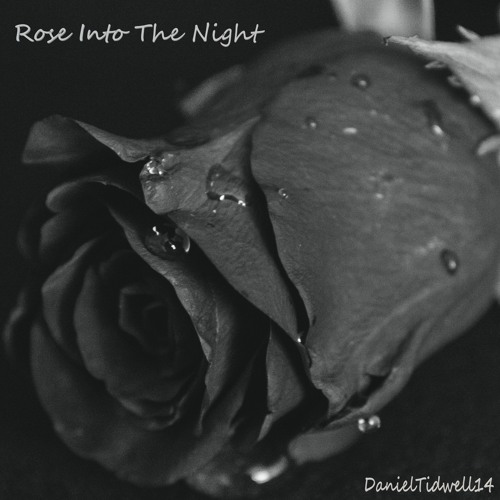 Rose Into The Night