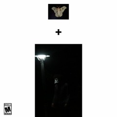 Existence, An Moths