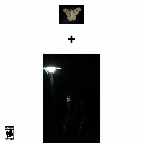 Existence, An Moths