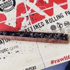 G$E x Loud x Mista 95