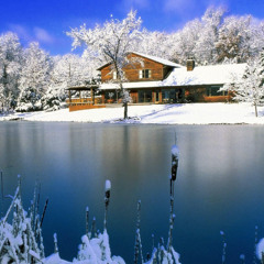 SNOWY BEAT