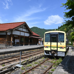 YOUKAIZUMO SAKANE