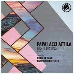 Pápai Acci - Night Driving (Underground Ticket Remix)