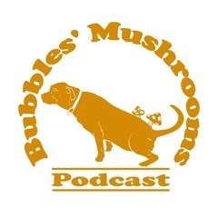 Ep156: FansOnly