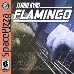 Terrie Kynd - Flamingo [Out Now]