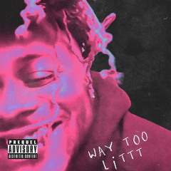 KC Petit - Way Too LiTTT