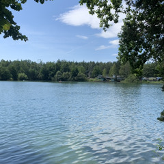 Viktor Sheen  Sám proti sobě slowed