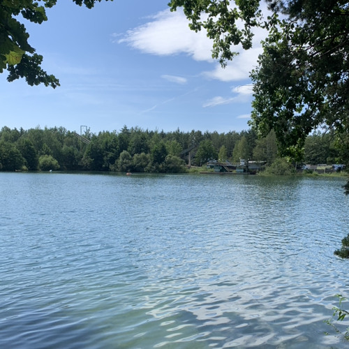 Viktor Sheen  Sám proti sobě slowed