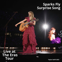 Sparks Fly (Live at The Eras Tour)