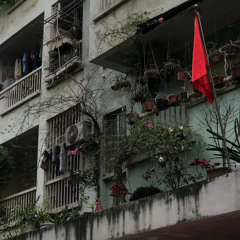 Chạy mãi par sg