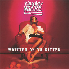Written on Ya Kitten (Shandi's Smooth Radio Edit)