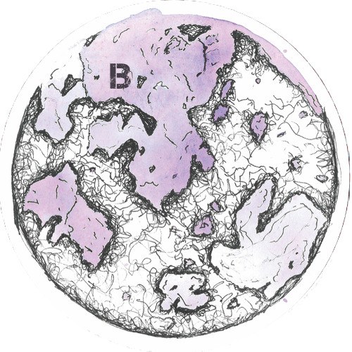 TMH - Frog Calls (out on Mantra HS01)