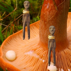 hunting milkcaps-naviarhaiku624