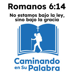 Romanos 6:14 - No estamos bajo la ley, sino bajo la gracia