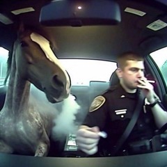 kahba polizei / bis ich nicht mehr atmen kann (otasy)
