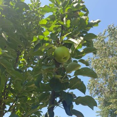 Klumch - Omeruud a Reng (1st Draft, Mastered).mp3