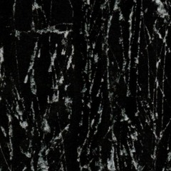 INFANT HOLOCAUST (Noise Acapella)
