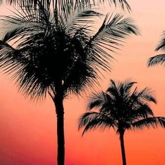 ZeKings X Sight - HABIBITE ( 2023 ).mp3