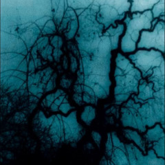 am i alive yet (myguardian)