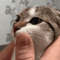 TESCO RÁDIÓ - PANNONIA