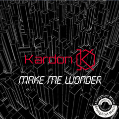 Make me wonder (Radio Edit)