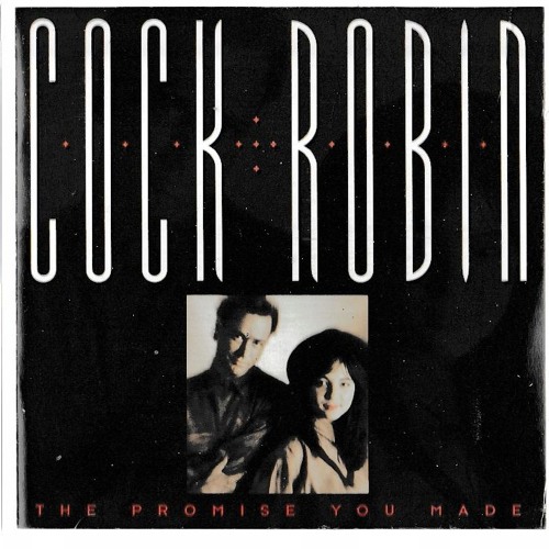 Cock Robin - The Promise You Made (Djsura  Version Reworked)