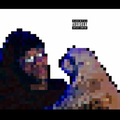 No Ad Libs Bih
