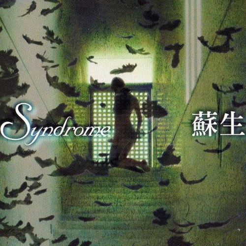 Syndrome - Do.Mes.Tic
