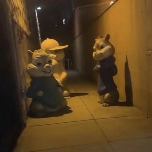 (Zankyosanka) Aimer┃Cover by Raon Lee