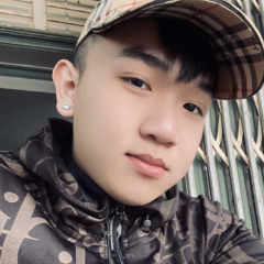 vietmix 2k25-2in1 cố giang tình-kubull mix