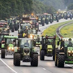 The Dutch farmers’ militant struggle