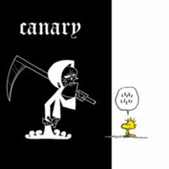 Canary (prod. Chutes & ava leana)
