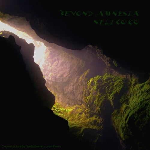Neli CoKo - Beyond Amnesia